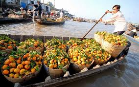 One Day Mekong Delta Tour (Cai Be - Vinh Long) - 1 day@ 35$