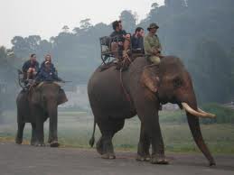 THE LANGBIANG MOUNTAIN AND ELEPHANT WATERFALL @ 39 $