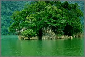 Daily Tours in Ho Chi Minh - Cat Tien National Park ( 2 day) @122$