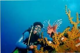 Daily tour Nhatrang Islands & Snorkeling Tour ( 1 day) @ 38 $/PAX