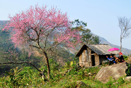 DU LỊCH: NÉT ĐẸP NÚI RỪNG TÂY BẮC ( 06 Ngày)