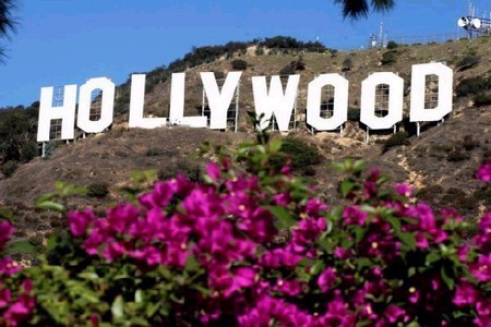 hollywood-sign-pink-flowers_1_.jpg