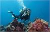 Daily tours in PhuQuoc - Snorkeling tour @ 25$